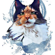 Digital Art